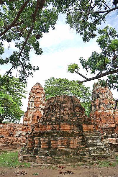 DSC05538.JPG DSC05538.JPG