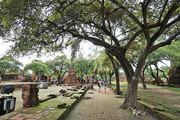 DSC05653.JPG DSC05653.JPG