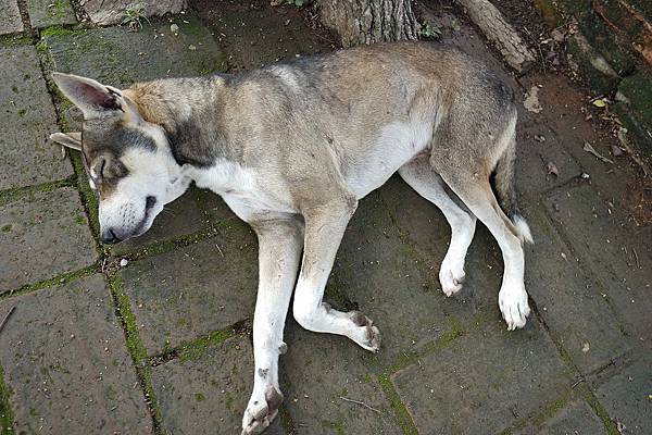 DSC05657.JPG DSC05657.JPG