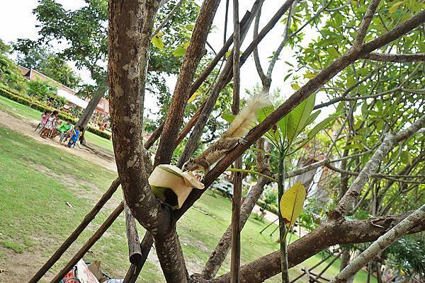 DSC05698.JPG DSC05698.JPG