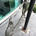 DSC05142.JPG