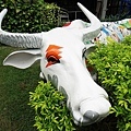 DSC05209.JPG