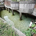DSC02755.JPG