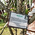 DSC01196.JPG