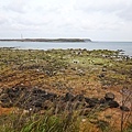 DSC00454.JPG