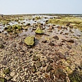 DSC03714.JPG