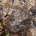 DSC03722.JPG