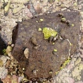 DSC03733.JPG