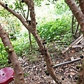 DSC07749.JPG