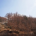 DSC00725.JPG
