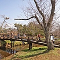 DSC01119.JPG