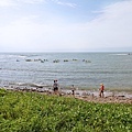 DSC08447.JPG