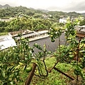 DSC03614.JPG