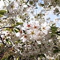 DSC03022.JPG