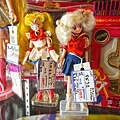 DSC07731.JPG
