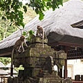DSC09018.JPG