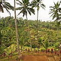 DSC01172.JPG