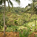 DSC01214.JPG