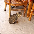 DSC01730.JPG