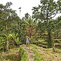 DSC01464