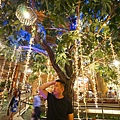 DSC03510.JPG