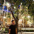 DSC03546.JPG