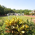 DSC01311.JPG