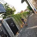 DSC04398.JPG