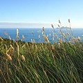 DSC09976.JPG