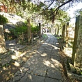 DSC09217.JPG
