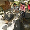 DSC09220.JPG
