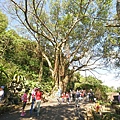 DSC09223.JPG