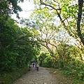 DSC09270.JPG