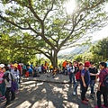 DSC09377.JPG