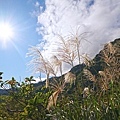 DSC09405.JPG