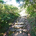 DSC09623.JPG