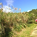 DSC09680.JPG