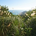 DSC09700.JPG