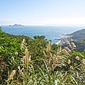 DSC09716.JPG