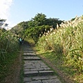 DSC09741.JPG