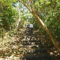 DSC05628.JPG