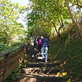 DSC05576.JPG