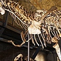 DSC07090.JPG