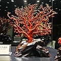 DSC07480.JPG