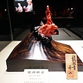 DSC07513.JPG