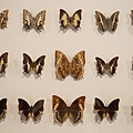 DSC07657.JPG