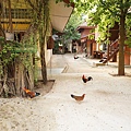 DSC09405.JPG