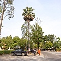 DSC09343.JPG