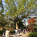 DSC08963.JPG