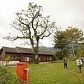DSC09108.JPG